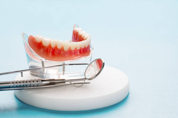 Professional Holistic Dental Care Services in Middlebury, IN